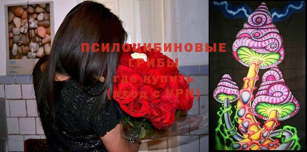 дживик Новозыбков