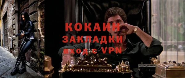 дживик Новозыбков